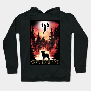 Visit Nevv England! Hoodie